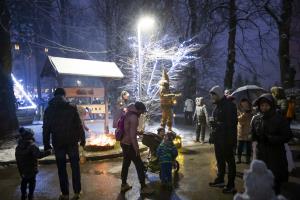 002 Pozdrav zimi inpraznik luci Foto atelje Postojna